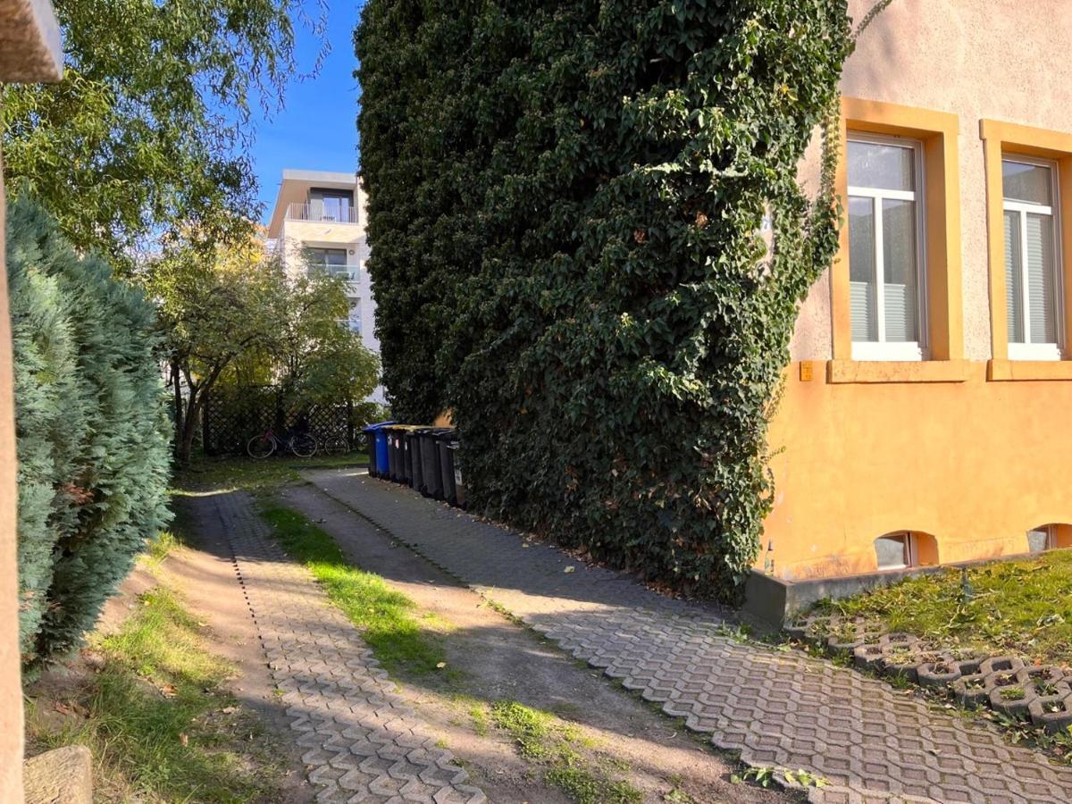 Ferienwohnung Gemutliche Oase - Tv, Beamer, Kuche Fur 4 Personen Dresden Exterior foto